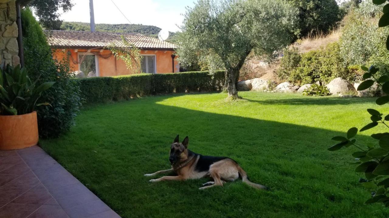 B&B Casa Vacanza Centro Sardegna Sorgono 外观 照片